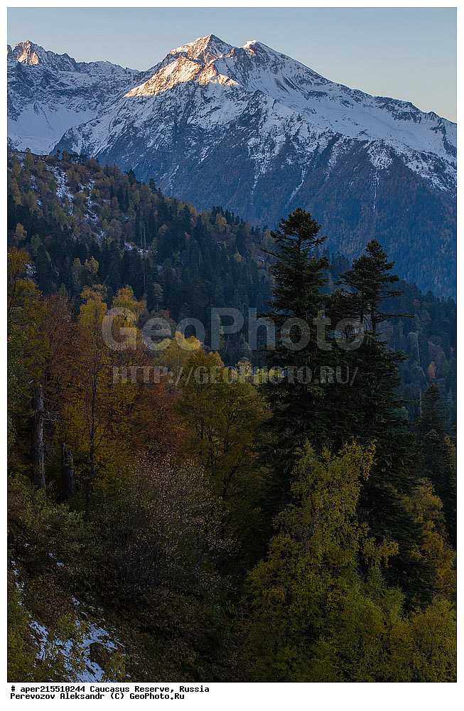 ������������� ����, ���������� ������, ���������-���������� ����������, ������, ���, ������, �������� ������, ���������� ��������������� ����������, ���������� ��������������� ��������� ���������� ���������� ����� �. �. �����������, ��������� ����, ���, ������, ����� ��������, ������