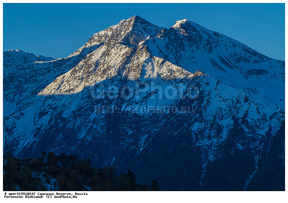 ������������� ����, ���������� ������, ���������-���������� ����������, ������, ���, ������, �������� ������, ���������� ��������������� ����������, ���������� ��������������� ��������� ���������� ���������� ����� �. �. �����������, ��������� ����, ���, ������, ����� ��������, ������