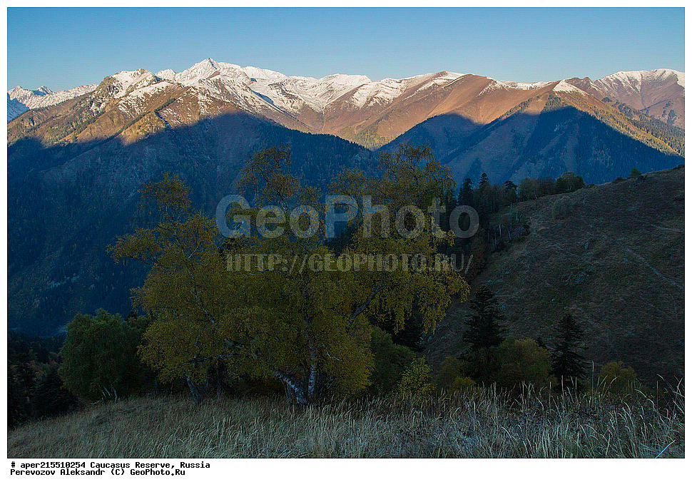  ������������� ����, ���������� ������, ���������-���������� ����������, ������, ���, ������, �������� ������, ���������� ��������������� ����������, ���������� ��������������� ��������� ���������� ���������� ����� �. �. �����������, ������� ����, ������, �������� ������, ���, ����� ��������, ������, ������