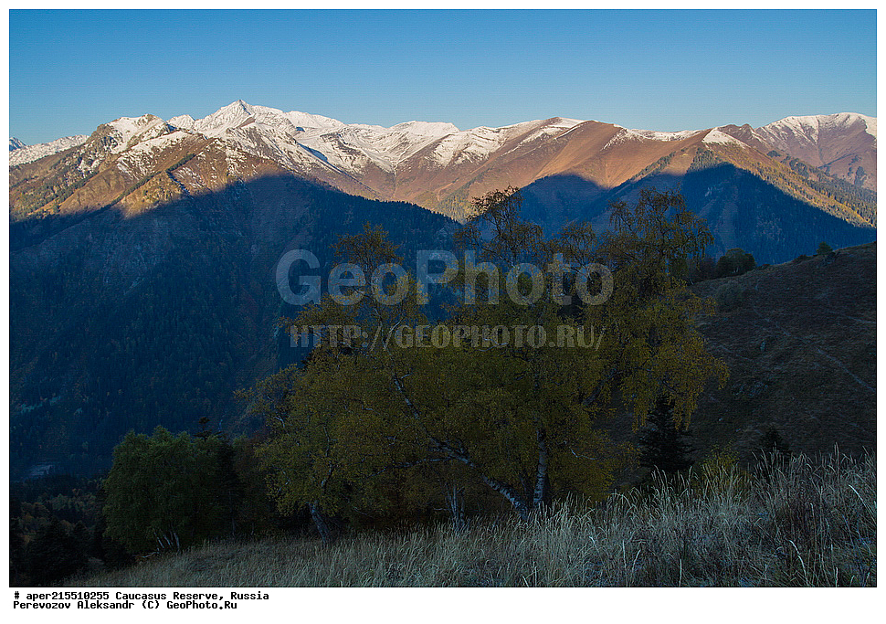  ������������� ����, ���������� ������, ���������-���������� ����������, ������, ���, ������, �������� ������, ���������� ��������������� ����������, ���������� ��������������� ��������� ���������� ���������� ����� �. �. �����������, ������� ����, ������, �������� ������, ���, ����� ��������, ������, ������