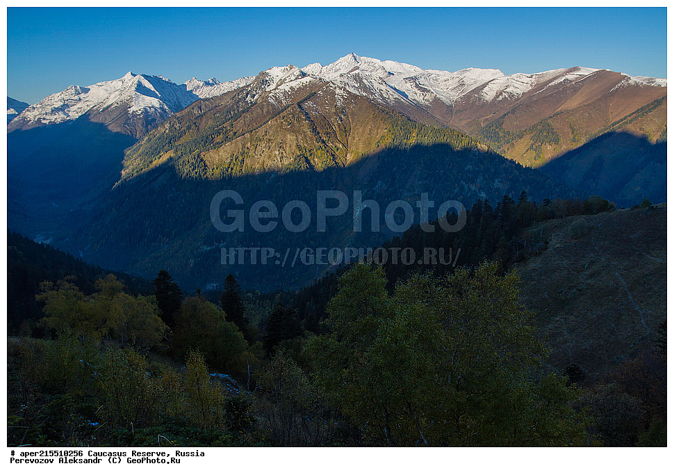  ������������� ����, ���������� ������, ���������-���������� ����������, ������, ���, ������, �������� ������, ���������� ��������������� ����������, ���������� ��������������� ��������� ���������� ���������� ����� �. �. �����������, ������� ����, ������, �������� ������, ���, ����� ��������, ������, ������