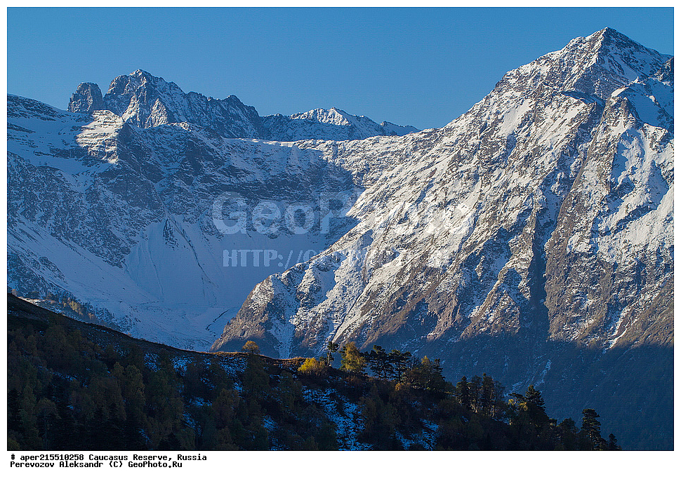 ������������� ����, ���������� ������, ���������-���������� ����������, ������, ���, ������, �������� ������, ���������� ��������������� ����������, ���������� ��������������� ��������� ���������� ���������� ����� �. �. �����������, ��������� ����, ���, ������, ����� ��������, ������