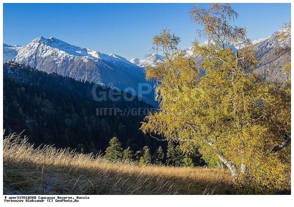 ������������� ����, ���������� ������, ���������-���������� ����������, ������, ���, ������, �������� ������, ���������� ��������������� ����������, ���������� ��������������� ��������� ���������� ���������� ����� �. �. �����������, ��������� ����, ���, ������, ����� ��������, ������