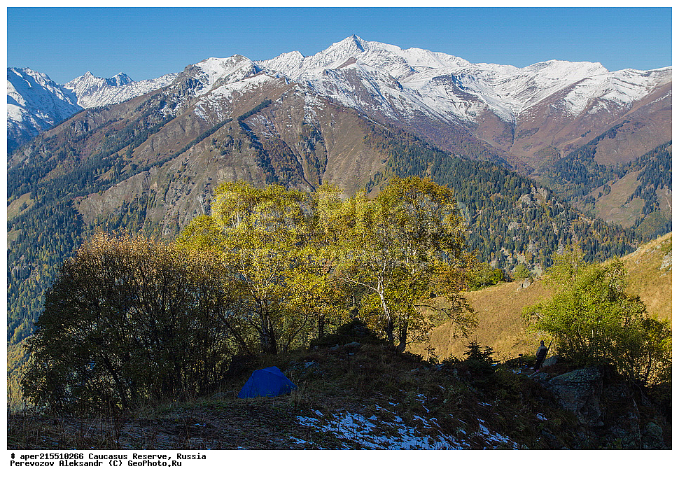  ������������� ����, ���������� ������, ���������-���������� ����������, ������, ���, ������, �������� ������, ���������� ��������������� ����������, ���������� ��������������� ��������� ���������� ���������� ����� �. �. �����������, ������� ����, ������, �������� ������, ���, ����� ��������, ������, ������