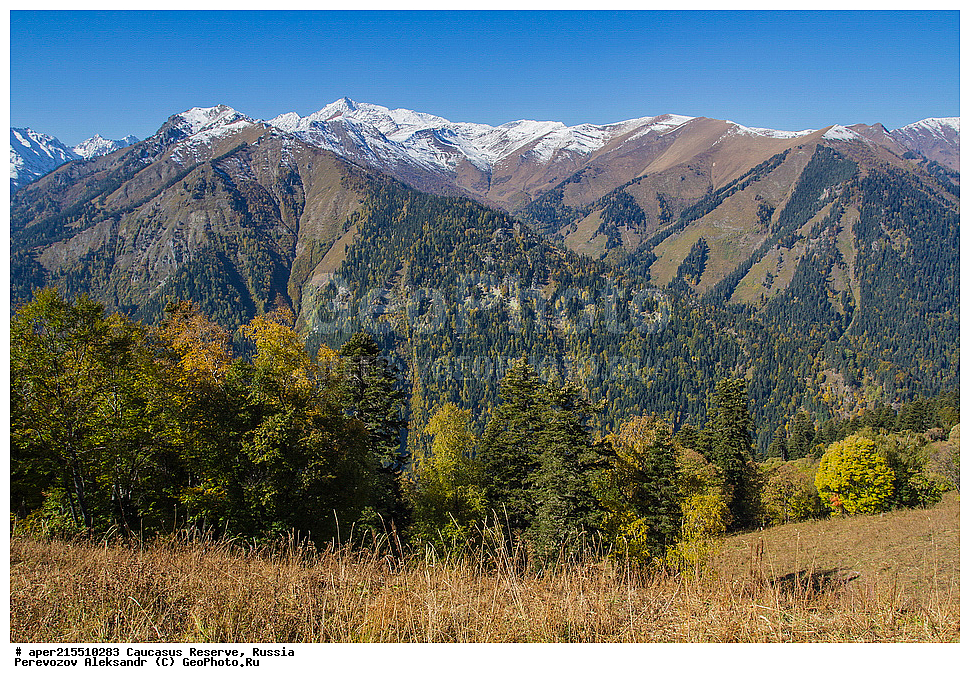  ������������� ����, ���������� ������, ���������-���������� ����������, ������, ���, ������, �������� ������, ���������� ��������������� ����������, ���������� ��������������� ��������� ���������� ���������� ����� �. �. �����������, ������� ����, ������, �������� ������, ���, ����� ��������, ������, ������