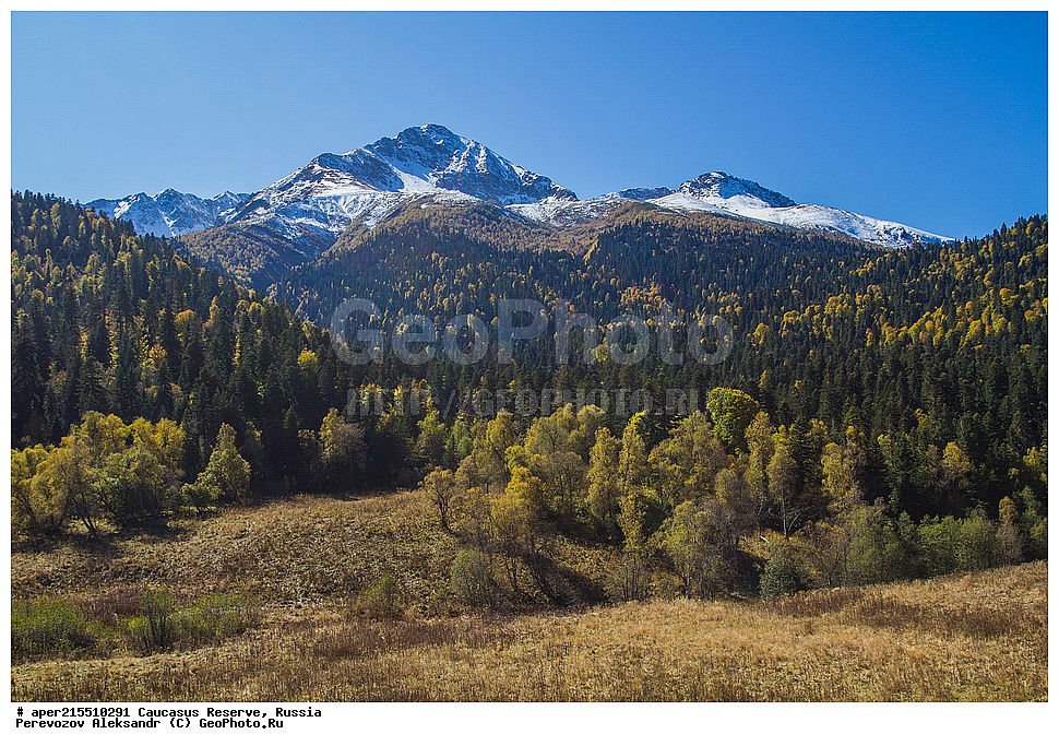 ������������� ����, ���������� ������, ���������-���������� ����������, ������, ���, ������, �������� ������, ���������� ��������������� ����������, ���������� ��������������� ��������� ���������� ���������� ����� �. �. �����������, �����, ��������, ������� (����), ������ ����� (������) ������ ������, ���� �����, ���, ��������� ������, ������