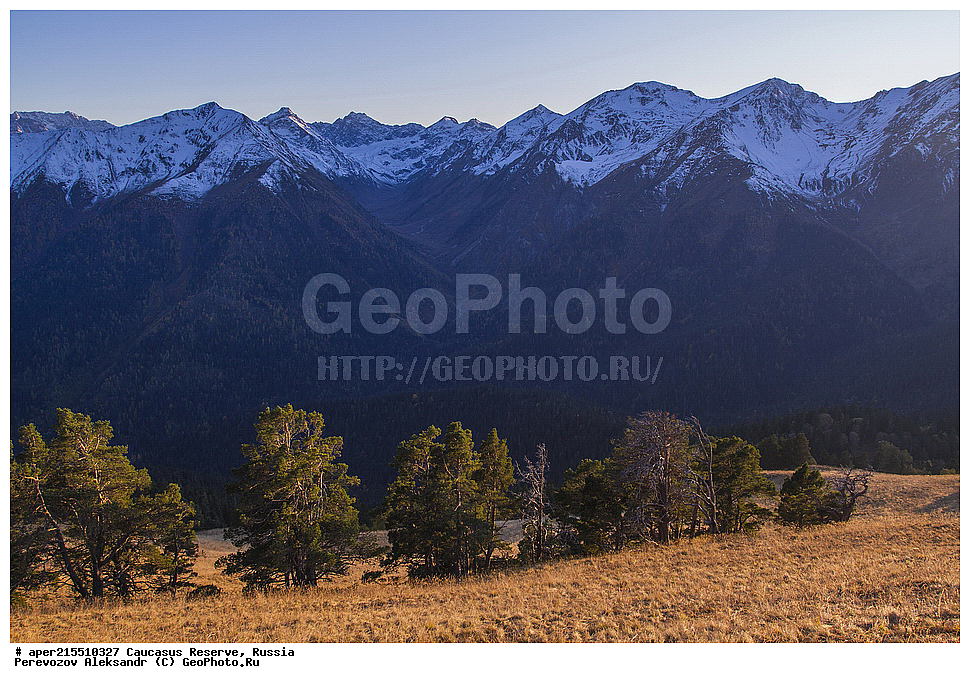 ������������� ����, ���������� ������, ���������-���������� ����������, ������, ���, ������, �������� ������, ���������� ��������������� ����������, ���������� ��������������� ��������� ���������� ���������� ����� �. �. �����������, �������, ����, ���, ������, ��� ����������, ������