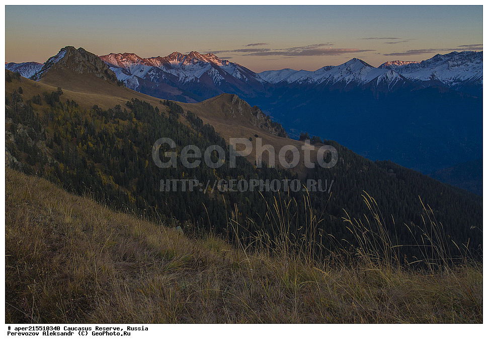 ������������� ����, ���������� ������, ���������-���������� ����������, ������, ���, ������, �������� ������, ���������� ��������������� ����������, ���������� ��������������� ��������� ���������� ���������� ����� �. �. �����������, ������ ������� ���, ������ ������, ���, ������, ��� ���������, ������