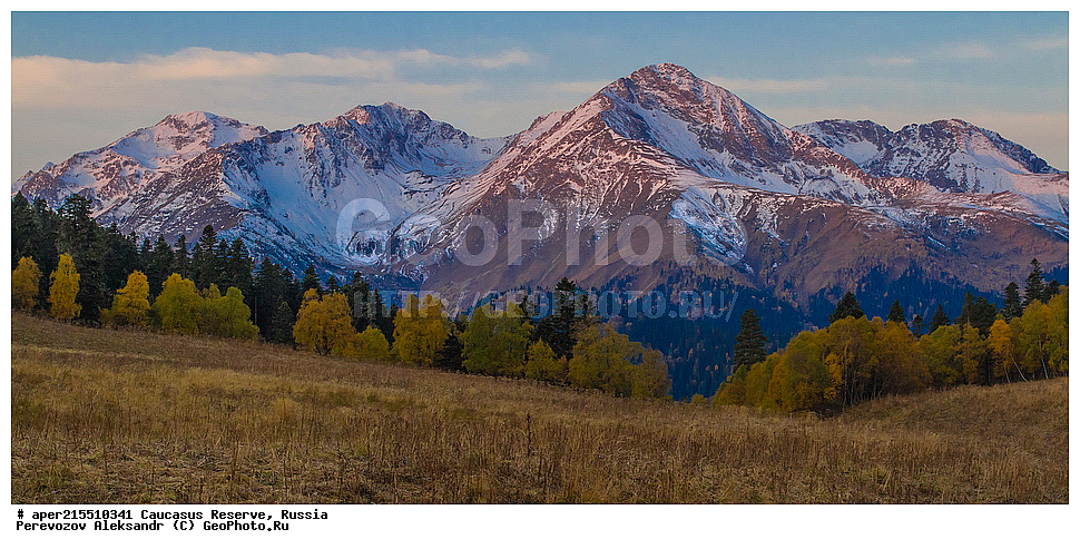 ������������� ����, ���������� ������, ���������-���������� ����������, ������, ���, ������, �������� ������, ���������� ��������������� ����������, ���������� ��������������� ��������� ���������� ���������� ����� �. �. �����������, �����, ��������, ������� (����), ������ ����� (������) ������ ������, ���� �����, ���, ������������ �������, ��������� ��������, ������