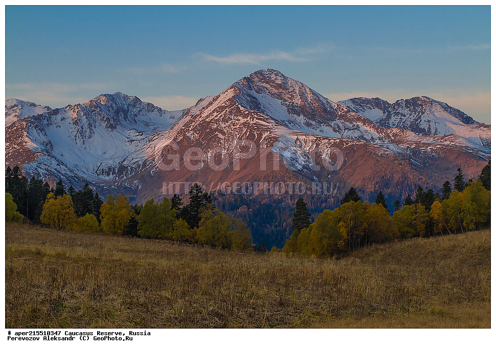 ������������� ����, ���������� ������, ���������-���������� ����������, ������, ���, ������, �������� ������, ���������� ��������������� ����������, ���������� ��������������� ��������� ���������� ���������� ����� �. �. �����������, �����, ��������, ������� (����), ������ ����� (������) ������ ������, ���� �����, ���, ������������ �������, ��������� ��������, ������