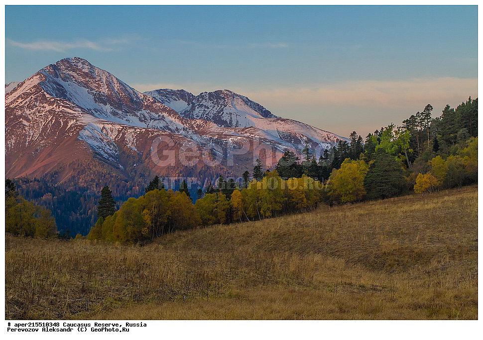 ������������� ����, ���������� ������, ���������-���������� ����������, ������, ���, ������, �������� ������, ���������� ��������������� ����������, ���������� ��������������� ��������� ���������� ���������� ����� �. �. �����������, �����, ��������, ������� (����), ������ ����� (������) ������ ������, ���� �����, ���, ������������ �������, ��������� ��������, ������