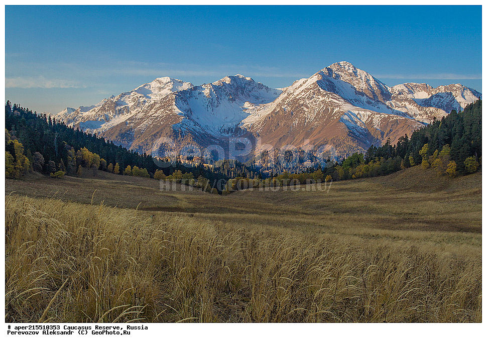 ������������� ����, ���������� ������, ���������-���������� ����������, ������, ���, ������, �������� ������, ���������� ��������������� ����������, ���������� ��������������� ��������� ���������� ���������� ����� �. �. �����������, �����, ��������, ������� (����), ������ ����� (������) ������ ������, ���� �����, ���, ������������ �������, ��������� ��������, ������