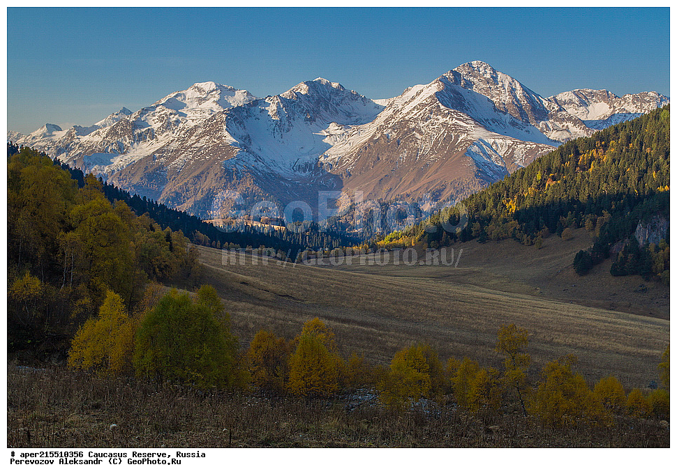 ������������� ����, ���������� ������, ���������-���������� ����������, ������, ���, ������, �������� ������, ���������� ��������������� ����������, ���������� ��������������� ��������� ���������� ���������� ����� �. �. �����������, �����, ��������, ������� (����), ������ ����� (������) ������ ������, ���� �����, ���, ������������ �������, ��������� ��������, ������