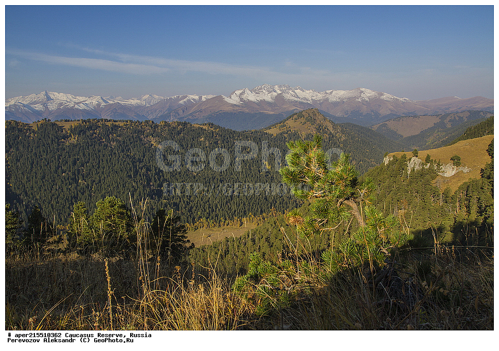 ������������� ����, ���������� ������, ���������-���������� ����������, ������, ���, ������, �������� ������, ���������� ��������������� ����������, ���������� ��������������� ��������� ���������� ���������� ����� �. �. �����������, �������� ������, ����, ���, ������, ��� ���������, ������