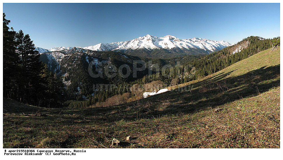 ������������� ����, ���������� ������, ���������-���������� ����������, ������, ���, ������, �������� ������, ���������� ��������������� ����������, ���������� ��������������� ��������� ���������� ���������� ����� �. �. �����������, �����, ��������, ������� (����), ������ ����� (������) ������ ������, ���� �����, ���, ������� ������, ������