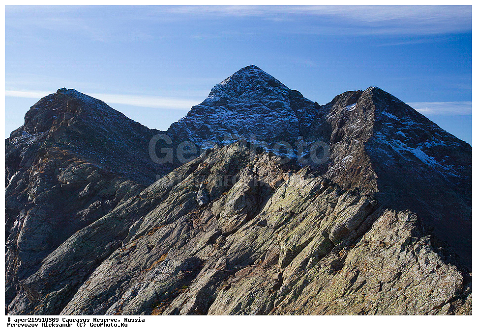 ������������� ����, ���������� ������, ���������-���������� ����������, ������, ���, ������, �������� ������, ���������� ��������������� ����������, ���������� ��������������� ��������� ���������� ���������� ����� �. �. �����������, ������������ ������ ����, ���������� (���) ����, ������