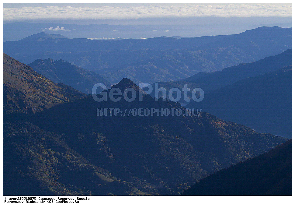 ������������� ����, ���������� ������, ���������-���������� ����������, ������, ���, ������, �������� ������, ���������� ��������������� ����������, ���������� ��������������� ��������� ���������� ���������� ����� �. �. �����������, ����� ����, ����, ������