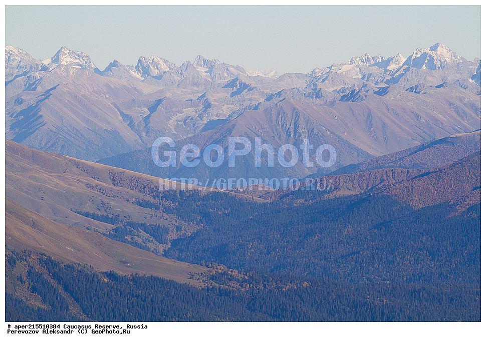 ������������� ����, ���������� ������, ���������-���������� ����������, ������, ���, ������, �������� ������, ���������� ��������������� ����������, ���������� ��������������� ��������� ���������� ���������� ����� �. �. �����������, �����, ������