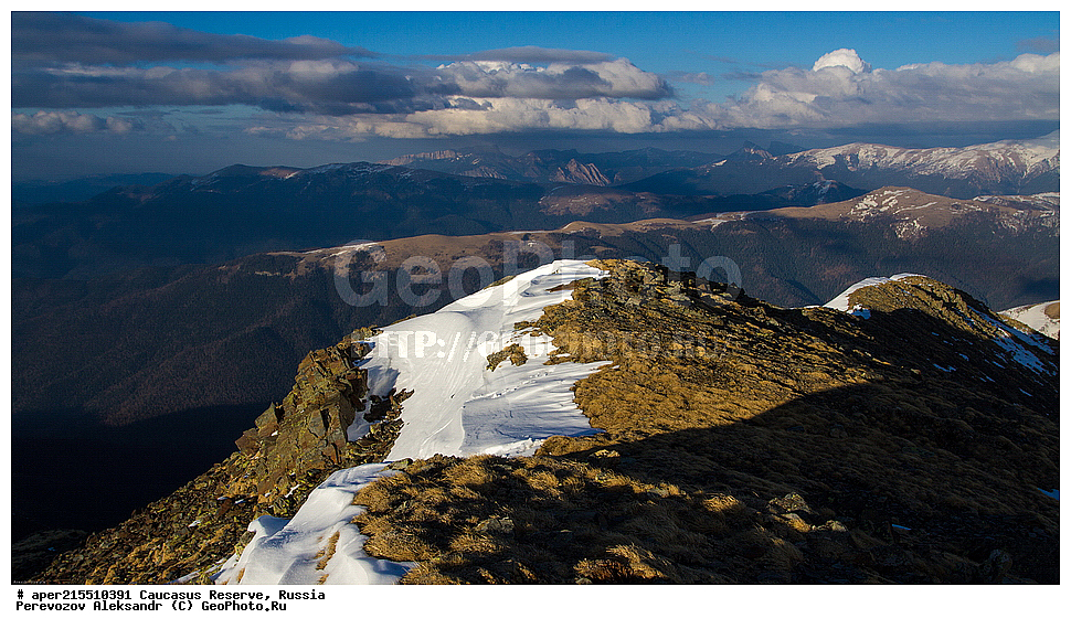 ������������� ����, ���������� ������, ���������-���������� ����������, ������, ���, ������, �������� ������, ���������� ��������������� ����������, ���������� ��������������� ��������� ���������� ���������� ����� �. �. �����������, �����, �������, �����, ��������, ����� ������ ������, �����, ������� ����, ������, ����, �����, �����, ������