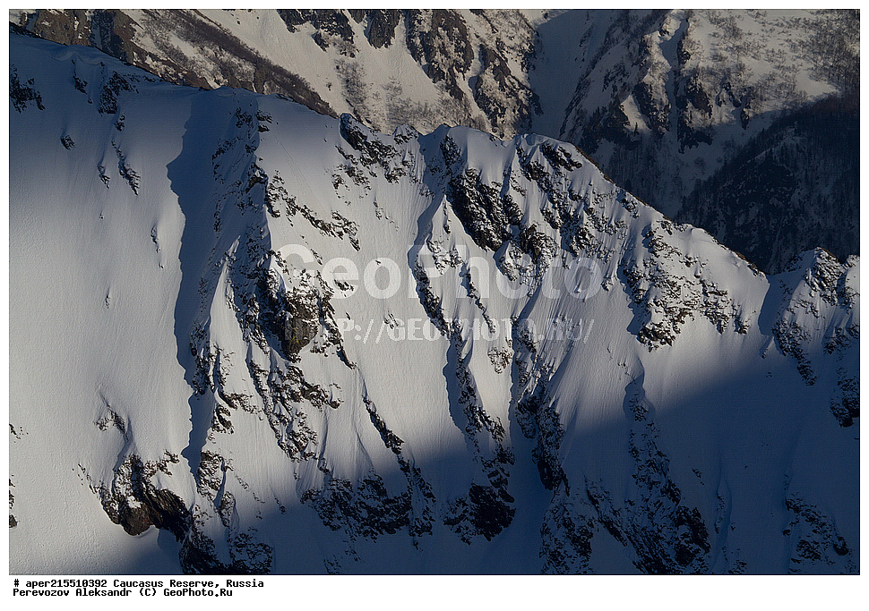 ������������� ����, ���������� ������, ���������-���������� ����������, ������, ���, ������, �������� ������, ���������� ��������������� ����������, ���������� ��������������� ��������� ���������� ���������� ����� �. �. �����������, �����, �������, �����, ��������, ����� ������ ������, ��������� ������, ����, ������