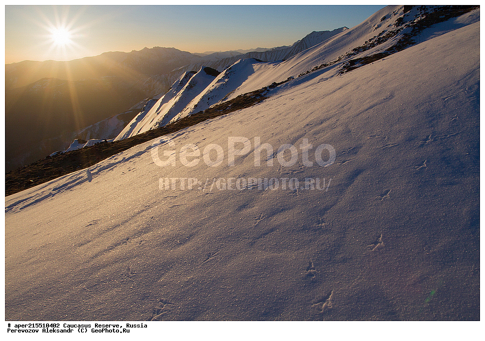 ������������� ����, ���������� ������, ���������-���������� ����������, ������, ���, ������, �������� ������, ���������� ��������������� ����������, ���������� ��������������� ��������� ���������� ���������� ����� �. �. �����������, �����, �������, �����, ��������, ����� ������ ������, �����, ������� ����, ������, ����, �����, �����, ������