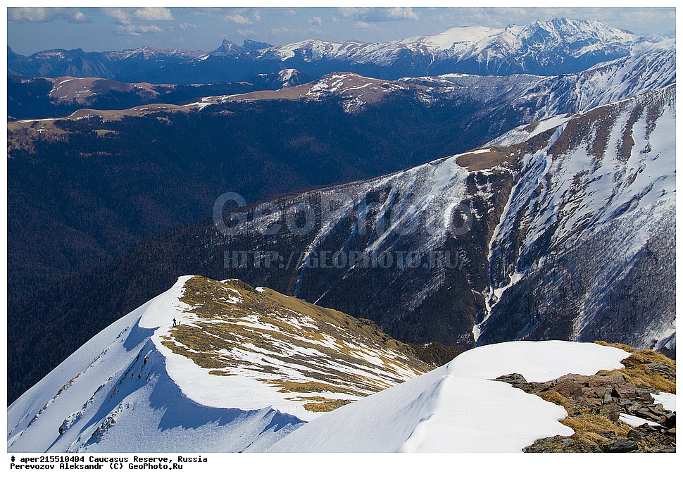 ������������� ����, ���������� ������, ���������-���������� ����������, ������, ���, ������, �������� ������, ���������� ��������������� ����������, ���������� ��������������� ��������� ���������� ���������� ����� �. �. �����������, �����, �������, �����, ��������, ����� ������ ������, �����, ������� ����, ������, ����, �����, �����, ������