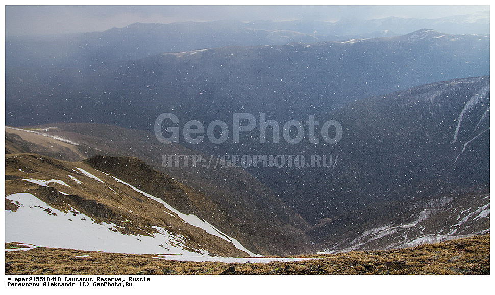 ������������� ����, ���������� ������, ���������-���������� ����������, ������, ���, ������, �������� ������, ���������� ��������������� ����������, ���������� ��������������� ��������� ���������� ���������� ����� �. �. �����������, �����, �������, �����, ��������, ����� ������ ������, �����, ������� ����, ������, ����, �����, �����, ������