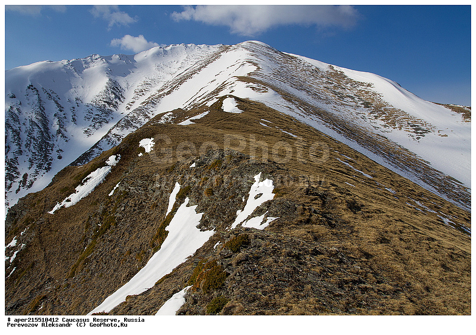 ������������� ����, ���������� ������, ���������-���������� ����������, ������, ���, ������, �������� ������, ���������� ��������������� ����������, ���������� ��������������� ��������� ���������� ���������� ����� �. �. �����������, �����, �������, �����, ��������, ����� ������ ������, �����, ������� ����, ��� �� ������� �����, �����, ������