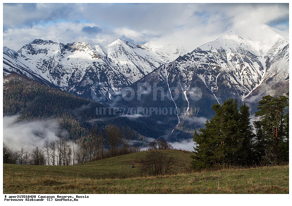 ������������� ����, ���������� ������, ���������-���������� ����������, ������, ���, ������, �������� ������, ���������� ��������������� ����������, ���������� ��������������� ��������� ���������� ���������� ����� �. �. �����������, �����, �������, �����, ��������, ����� ������ ������, ��������� ������, �����, ������