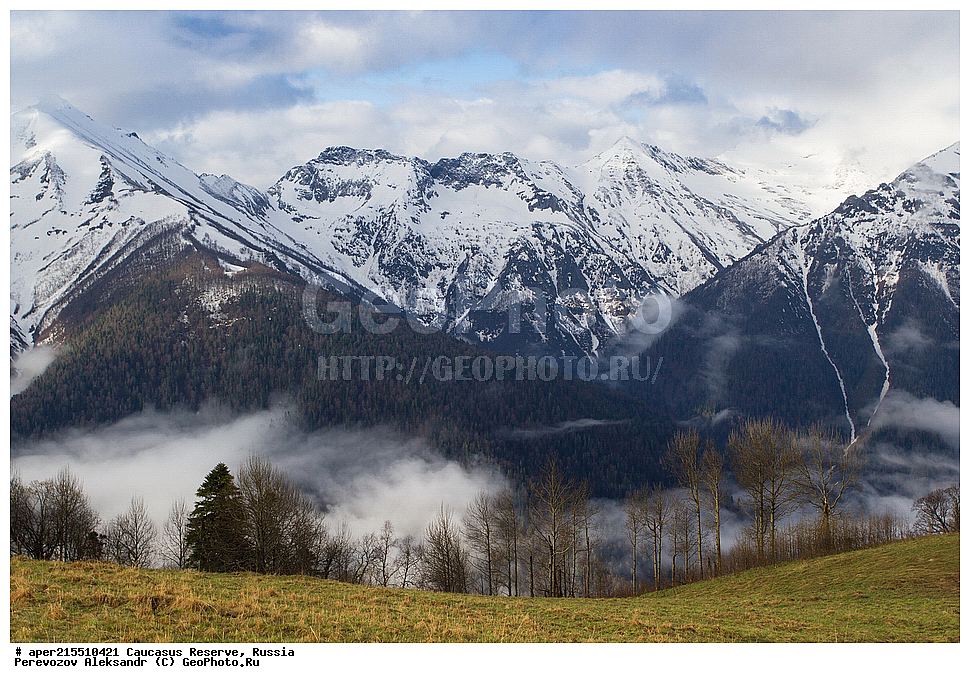 ������������� ����, ���������� ������, ���������-���������� ����������, ������, ���, ������, �������� ������, ���������� ��������������� ����������, ���������� ��������������� ��������� ���������� ���������� ����� �. �. �����������, �����, �������, �����, ��������, ����� ������ ������, ��������� ������, �����, ������