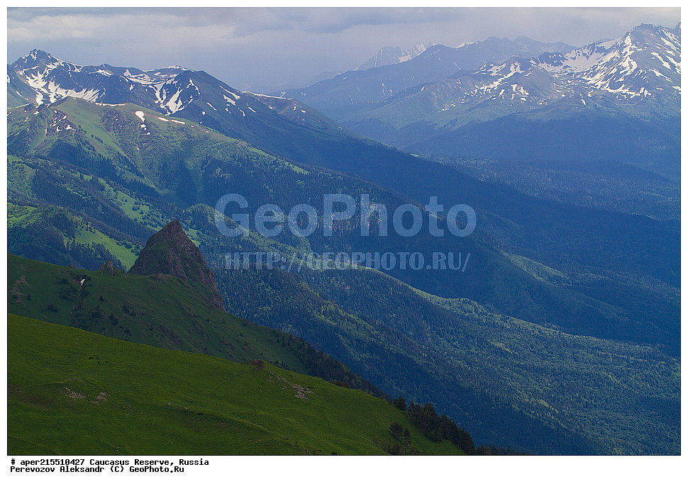 ������������� ����, ���������� ������, ���������-���������� ����������, ������, ���, ������, �������� ������, ���������� ��������������� ����������, ���������� ��������������� ��������� ���������� ���������� ����� �. �. �����������, ����� ����, ����, ������