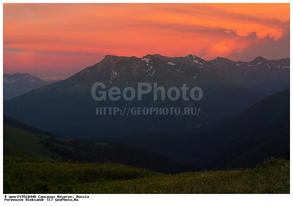 ������������� ����, ���������� ������, ���������-���������� ����������, ������, ���, ������, �������� ������, ���������� ��������������� ����������, ���������� ��������������� ��������� ���������� ���������� ����� �. �. �����������, �����, ��������, ������� (����), ������ ����� (������) ������ ������, ���� �����, ���, �������� �������, ������