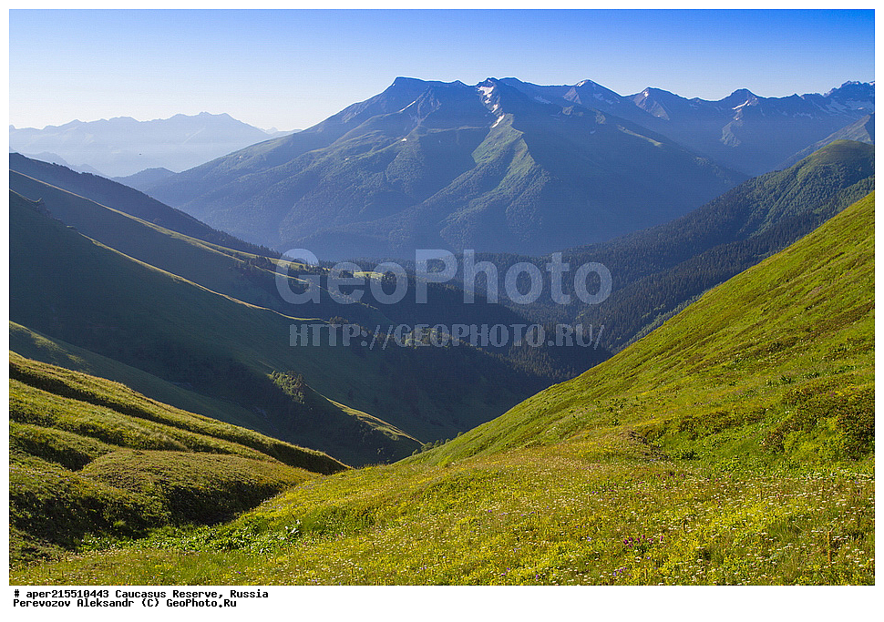 ������������� ����, ���������� ������, ���������-���������� ����������, ������, ���, ������, �������� ������, ���������� ��������������� ����������, ���������� ��������������� ��������� ���������� ���������� ����� �. �. �����������, �����, ��������, ������� (����), ������ ����� (������) ������ ������, ���� �����, ���, �������� �������, ������