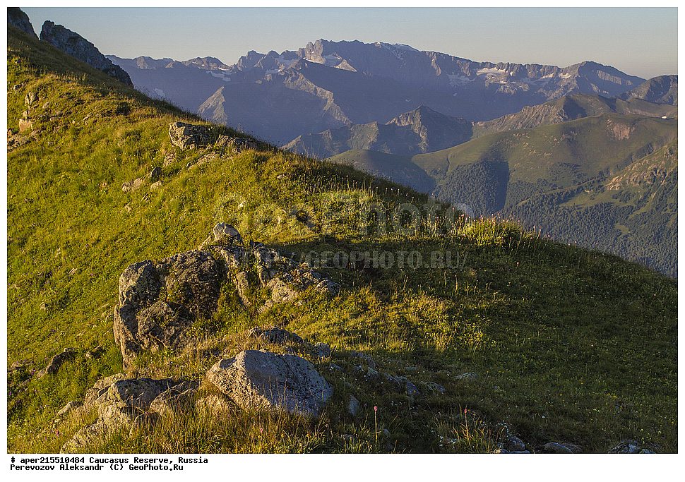 ������������� ����, ���������� ������, ���������-���������� ����������, ������, ���, ������, �������� ������, ���������� ��������������� ����������, ���������� ��������������� ��������� ���������� ���������� ����� �. �. �����������, �������, ����, ������, ���, �����, ������