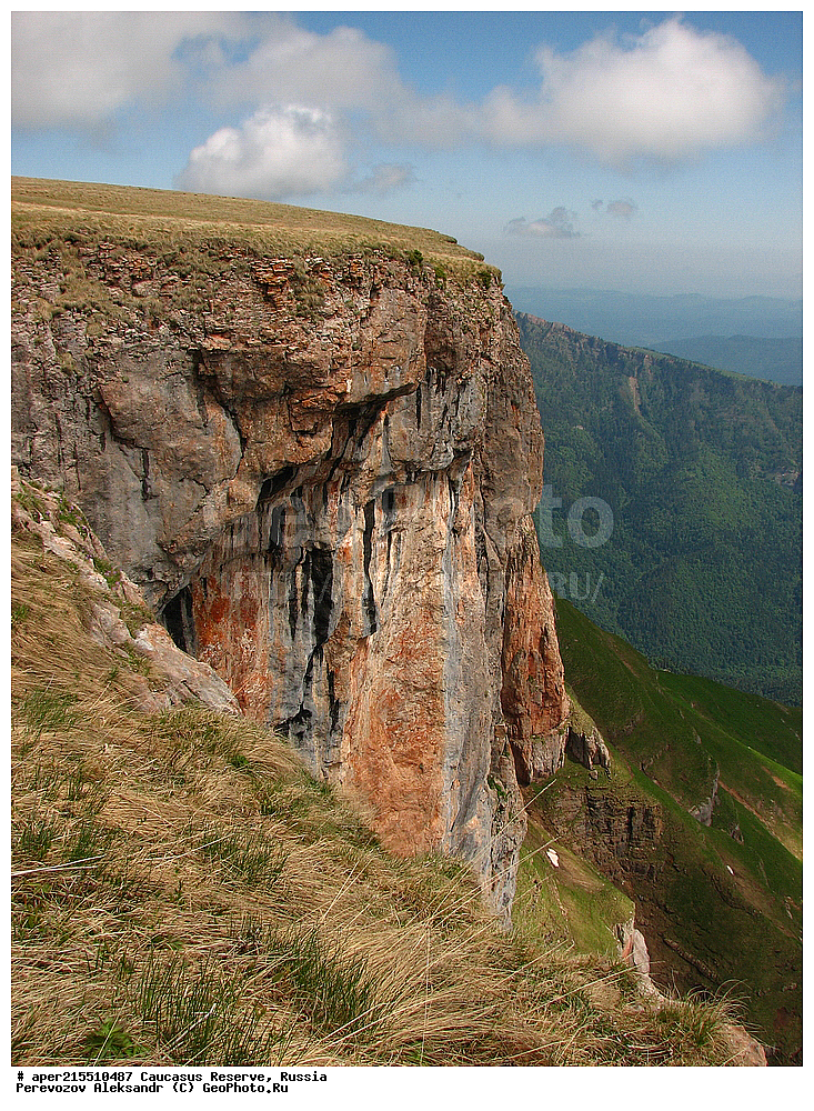 ������������� ����, ���������� ������, ���������-���������� ����������, ������, ���, ������, �������� ������, ���������� ��������������� ����������, ���������� ��������������� ��������� ���������� ���������� ����� �. �. �����������, ���, ������, ����������, ������ ������, ������, ������, ����� ���, ���, �����, ������