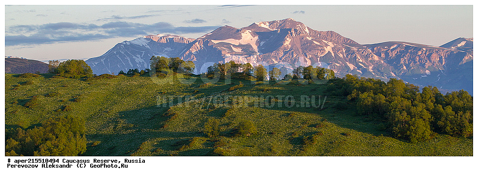 ������������� ����, ���������� ������, ���������-���������� ����������, ������, ���, ������, �������� ������, ���������� ��������������� ����������, ���������� ��������������� ��������� ���������� ���������� ����� �. �. ����������� ����������� ������� � ����-��������� ������ ������, ���� ����, �����, �������, �����-���, ������ �������� ����, ����, �����, ���, �����, �����, ������