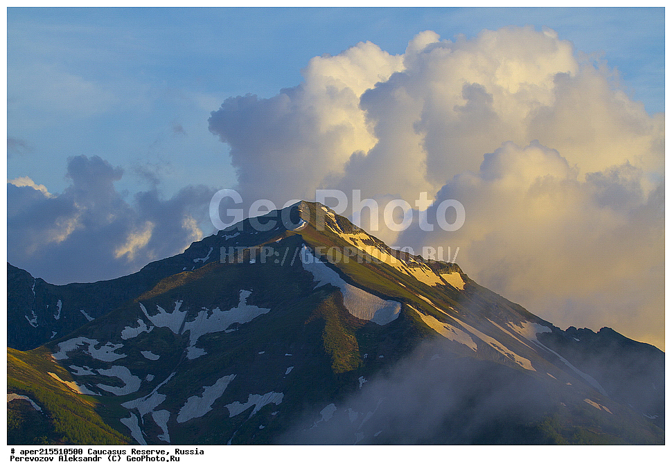 ������������� ����, ���������� ������, ���������-���������� ����������, ������, ���, ������, �������� ������, ���������� ��������������� ����������, ���������� ��������������� ��������� ���������� ���������� ����� �. �. �����������, �����, �������, �����, ��������, ����� ������ ������, ��������� ������, ����, ������