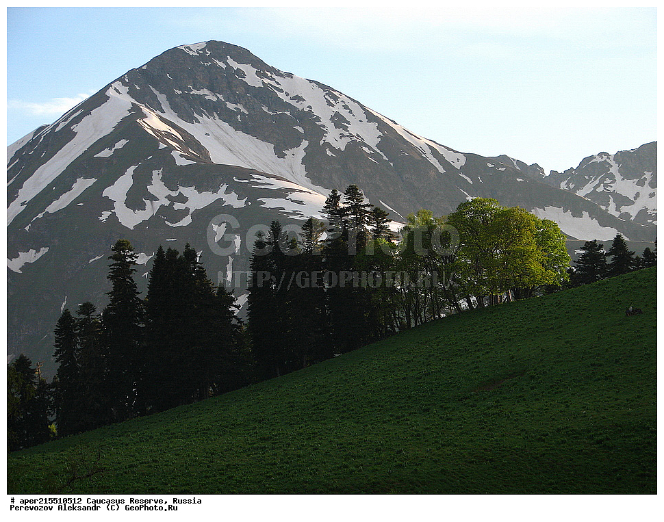 ������������� ����, ���������� ������, ���������-���������� ����������, ������, ���, ������, �������� ������, ���������� ��������������� ����������, ���������� ��������������� ��������� ���������� ���������� ����� �. �. �����������, �����, ��������, ������� (����), ������ ����� (������) ������ ������, ���� �����, ���, ������������ �������, ��������� ��������, ������