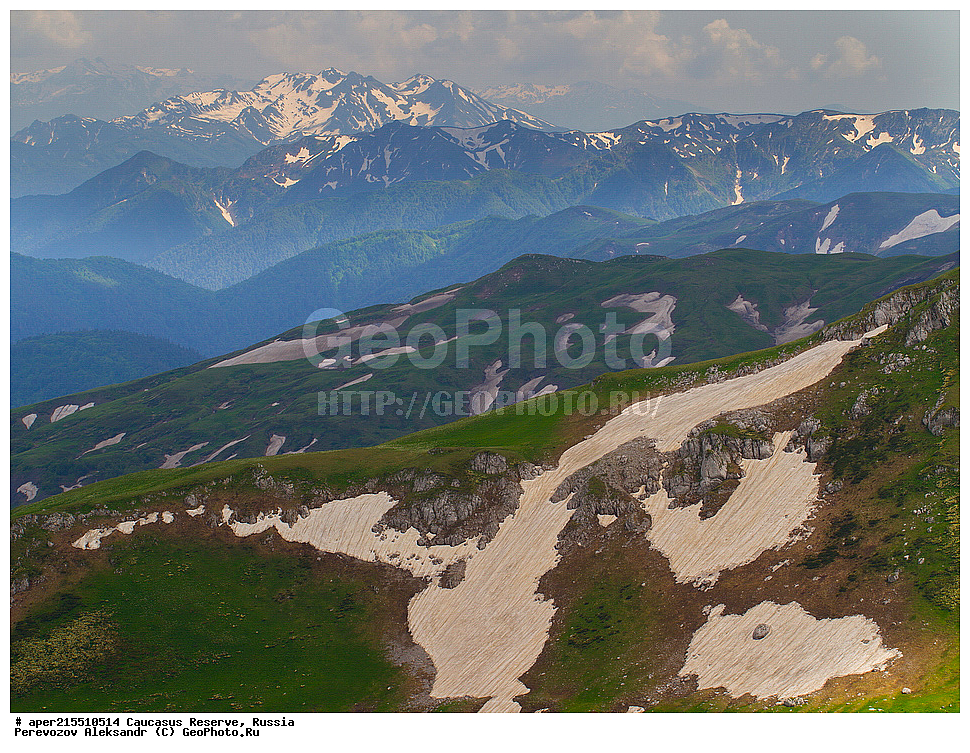 ������������� ����, ���������� ������, ���������-���������� ����������, ������, ���, ������, �������� ������, ���������� ��������������� ����������, ���������� ��������������� ��������� ���������� ���������� ����� �. �. �����������, ���� ������, ���, ����������� �������, ����, ������