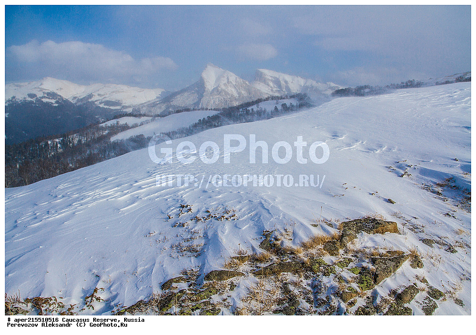 ������������� ����, ���������� ������, ���������-���������� ����������, ������, ���, ������, �������� ������, ���������� ��������������� ����������, ���������� ��������������� ��������� ���������� ���������� ����� �. �. �����������, �����-���������� (���� �����, ������, ������ ����������, ����-�����, �����������) ������ ������, ���������� ������, ����, ������