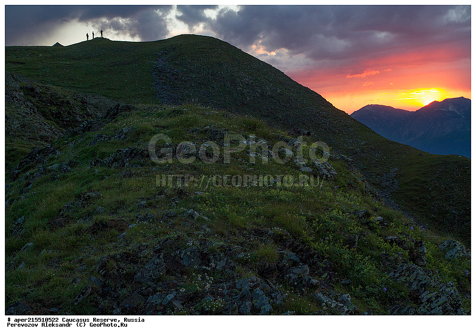 ������������� ����, ���������� ������, ���������-���������� ����������, ������, ���, ������, �������� ������, ���������� ��������������� ����������, ���������� ��������������� ��������� ���������� ���������� ����� �. �. �����������, �����, �������, �����, ��������, ����� ������ ������, ����� � ������� ����, ���� �������, �������, ����, ����, ������