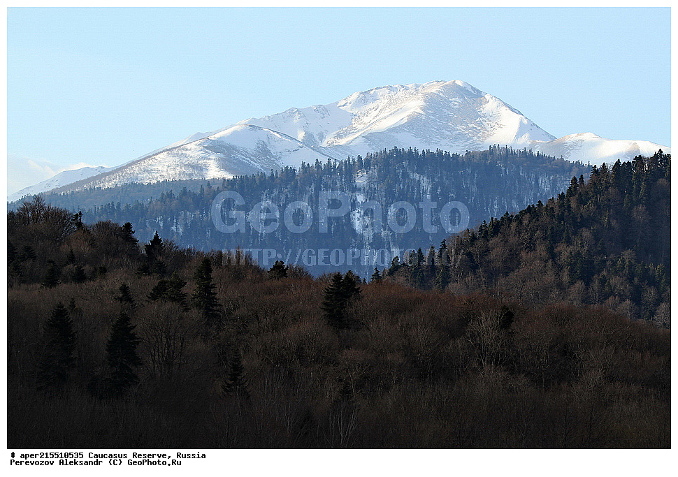 ������������� ����, ���������� ������, ���������-���������� ����������, ������, ���, ������, �������� ������, ���������� ��������������� ����������, ���������� ��������������� ��������� ���������� ���������� ����� �. �. �����������, �����, �������, �����, ��������, ����� ������ ������, �����, ������� ����, ��� �� ������� �����, �����, ������