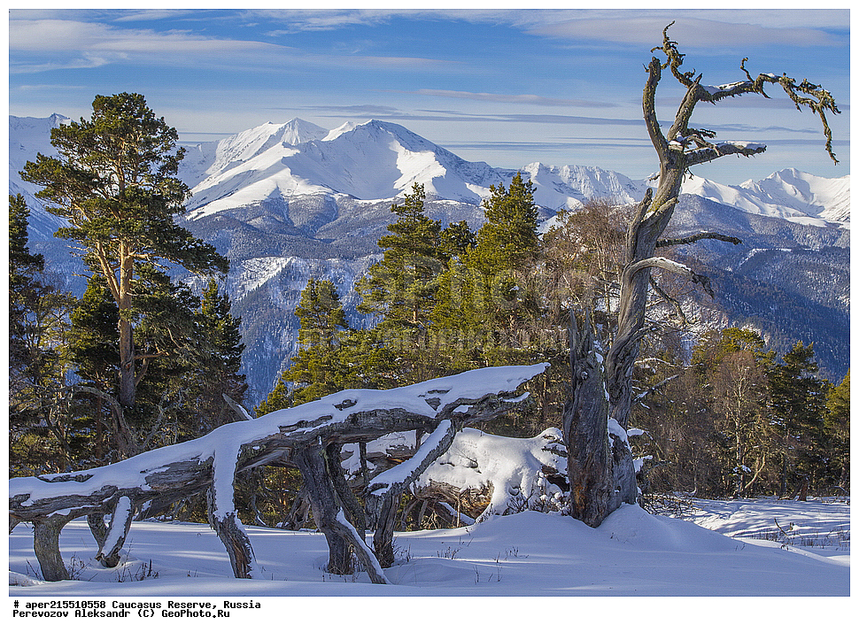 ������������� ����, ���������� ������, ���������-���������� ����������, ������, ���, ������, �������� ������, ���������� ��������������� ����������, ���������� ��������������� ��������� ���������� ���������� ����� �. �. �����������, �����, �������, �����, ��������, ����� ������ ������, �����, ������� ����, ���, ���������� ������, ����, ������