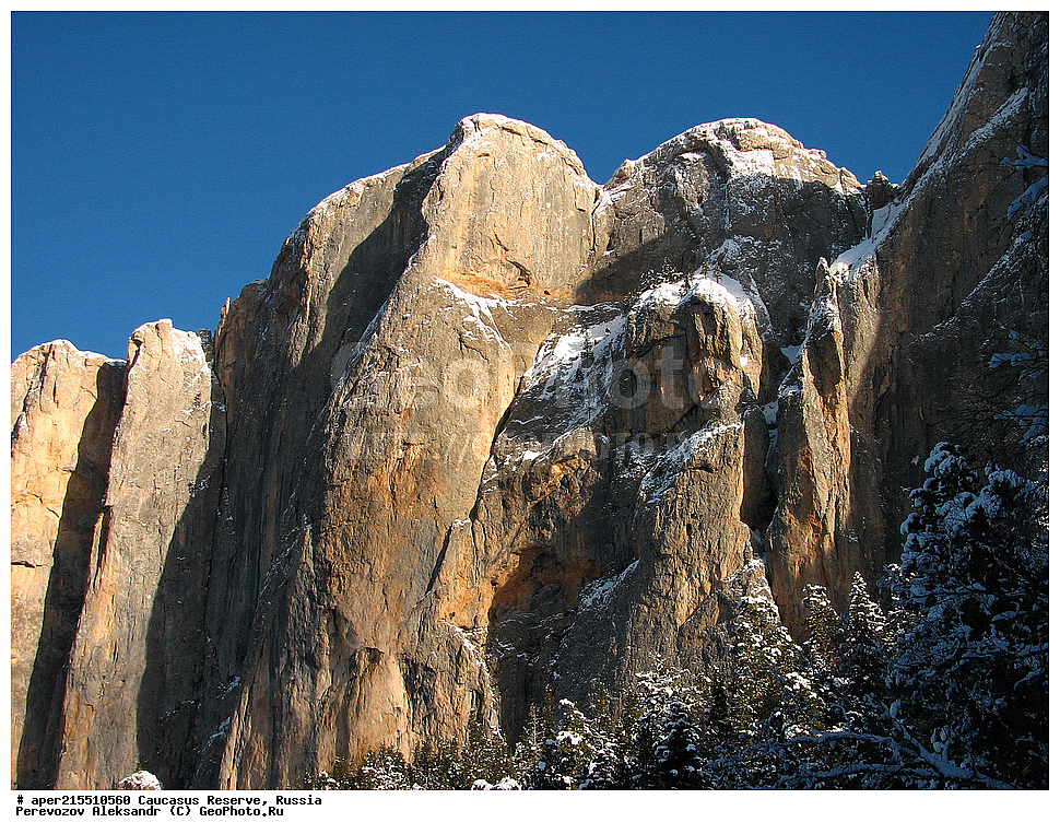 ������������� ����, ���������� ������, ���������-���������� ����������, ������, ���, ������, �������� ������, ���������� ��������������� ����������, ���������� ��������������� ��������� ���������� ���������� ����� �. �. �����������, ����, ������� ������, �������, �����, ������, ��������, ���, ��������, ������