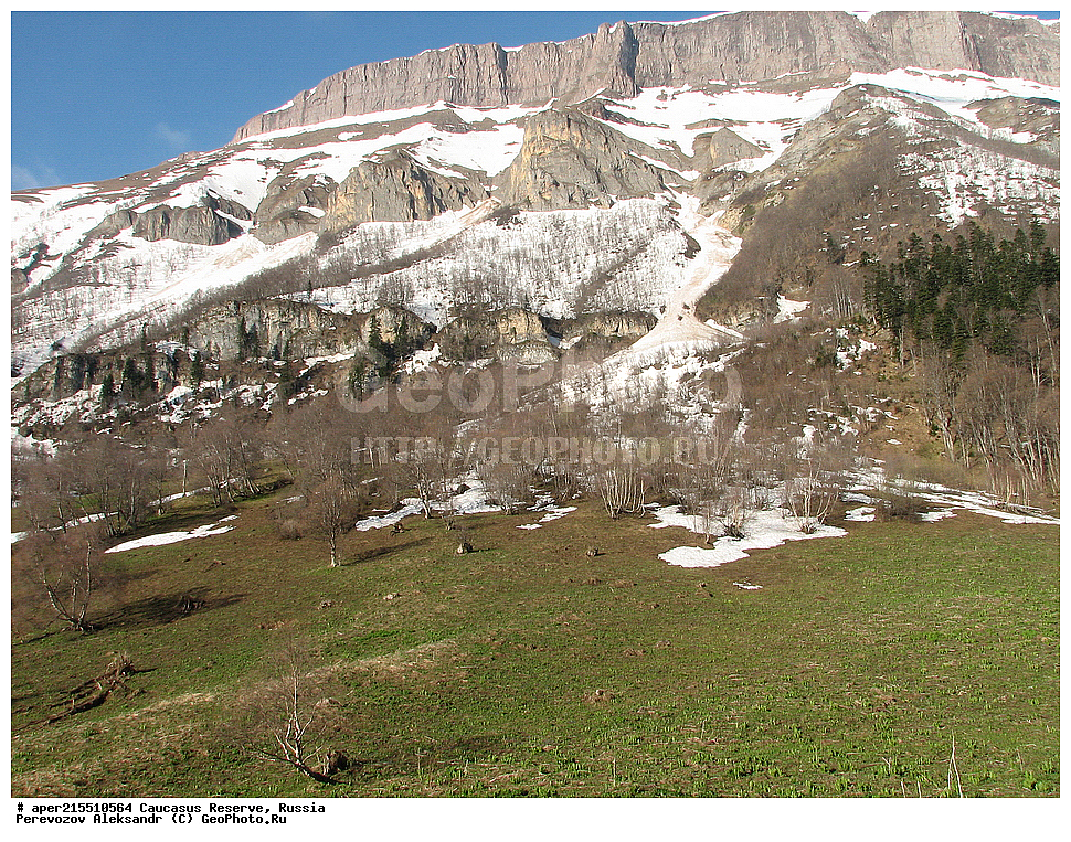 ������������� ����, ���������� ������, ���������-���������� ����������, ������, ���, ������, �������� ������, ���������� ��������������� ����������, ���������� ��������������� ��������� ���������� ���������� ����� �. �. �����������, ���, ������, ����������, ������ ������, ������, ������, ����� ���, ���, ������������ ������, ������