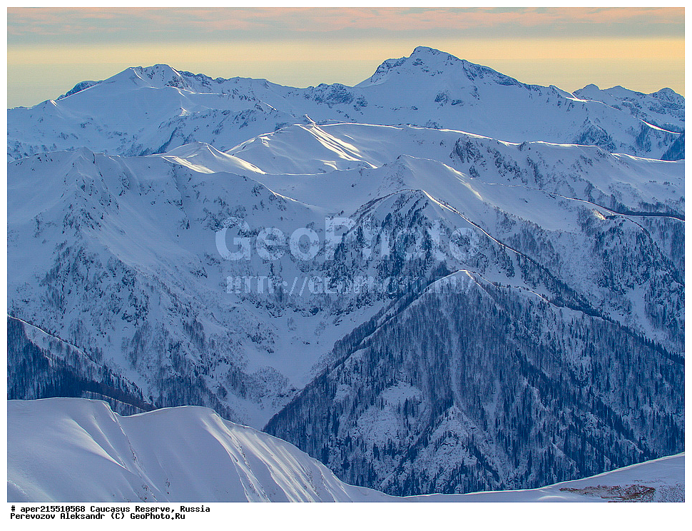 ������������� ����, ���������� ������, ���������-���������� ����������, ������, ���, ������, �������� ������, ���������� ��������������� ����������, ���������� ��������������� ��������� ���������� ���������� ����� �. �. �����������, ��������� ������, ���, ����, �����, �������, ������