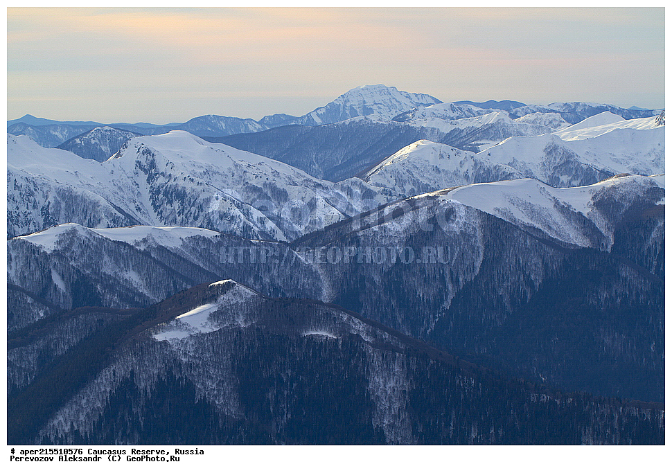 ������������� ����, ���������� ������, ���������-���������� ����������, ������, ���, ������, �������� ������, ���������� ��������������� ����������, ���������� ��������������� ��������� ���������� ���������� ����� �. �. �����������, ���� ����, ���, �����, ����, ������