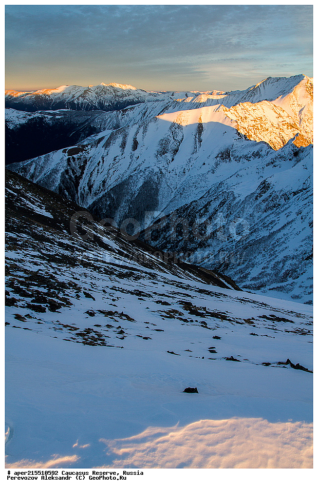 ������������� ����, ���������� ������, ���������-���������� ����������, ������, ���, ������, �������� ������, ���������� ��������������� ����������, ���������� ��������������� ��������� ���������� ���������� ����� �. �. �����������, �����, �������, �����, ��������, ����� ������ ������, �����, ������� ����, ������, ����, �����, ����, ������