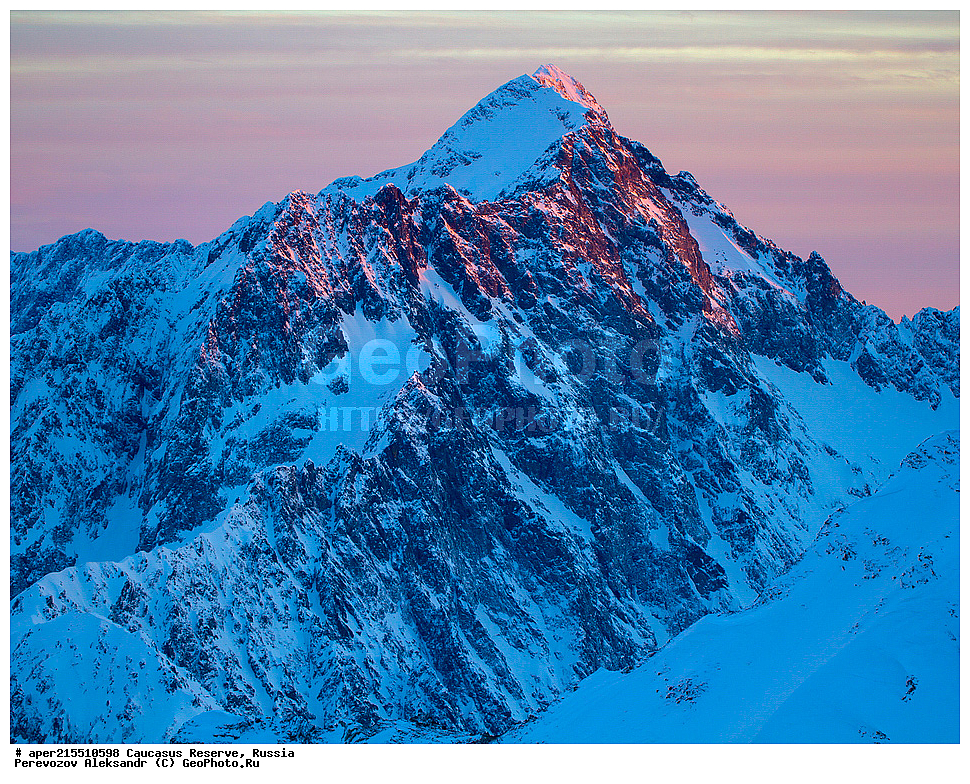 ������������� ����, ���������� ������, ���������-���������� ����������, ������, ���, ������, �������� ������, ���������� ��������������� ����������, ���������� ��������������� ��������� ���������� ���������� ����� �. �. �����������, �����, �������, �����, ��������, ����� ������ ������, ���, ���� �����, ���, �����, ��������� ������, �����, �������, ������