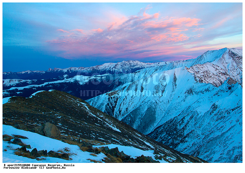 ������������� ����, ���������� ������, ���������-���������� ����������, ������, ���, ������, �������� ������, ���������� ��������������� ����������, ���������� ��������������� ��������� ���������� ���������� ����� �. �. �����������, �����, �������, �����, ��������, ����� ������ ������, �����, ������� ����, ������, ����, �����, ����, ������